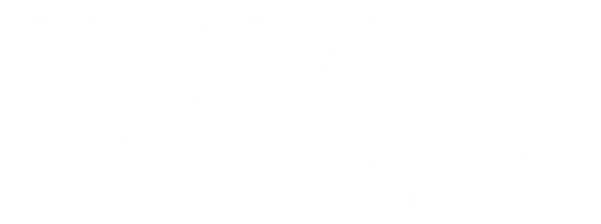 Docu Visual