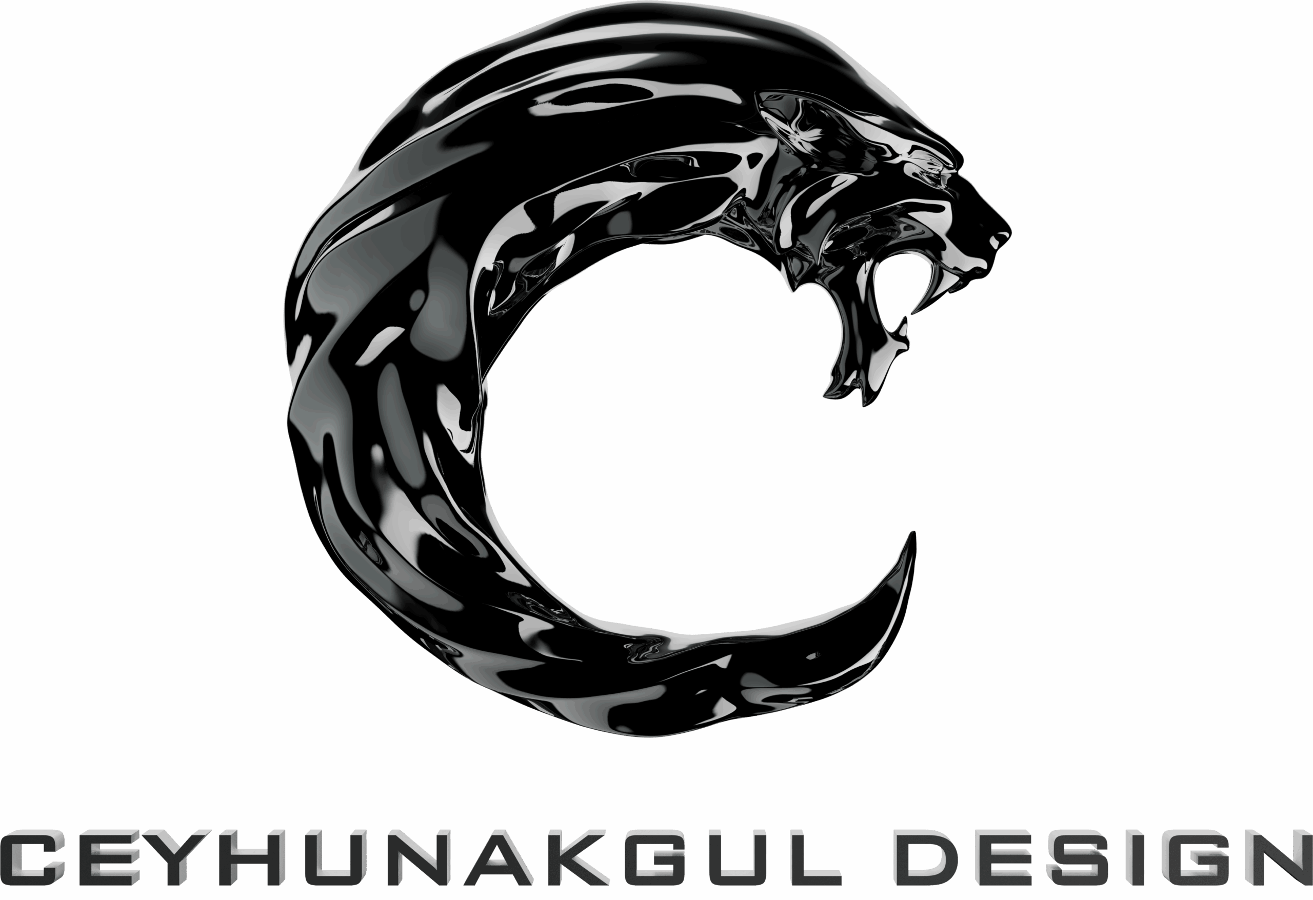 Ceyhun Logo