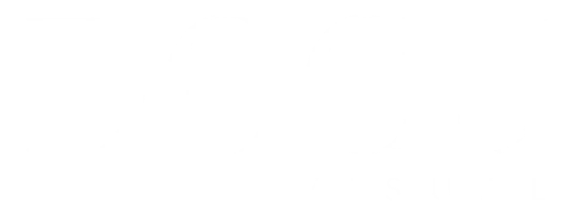 Docu Visual